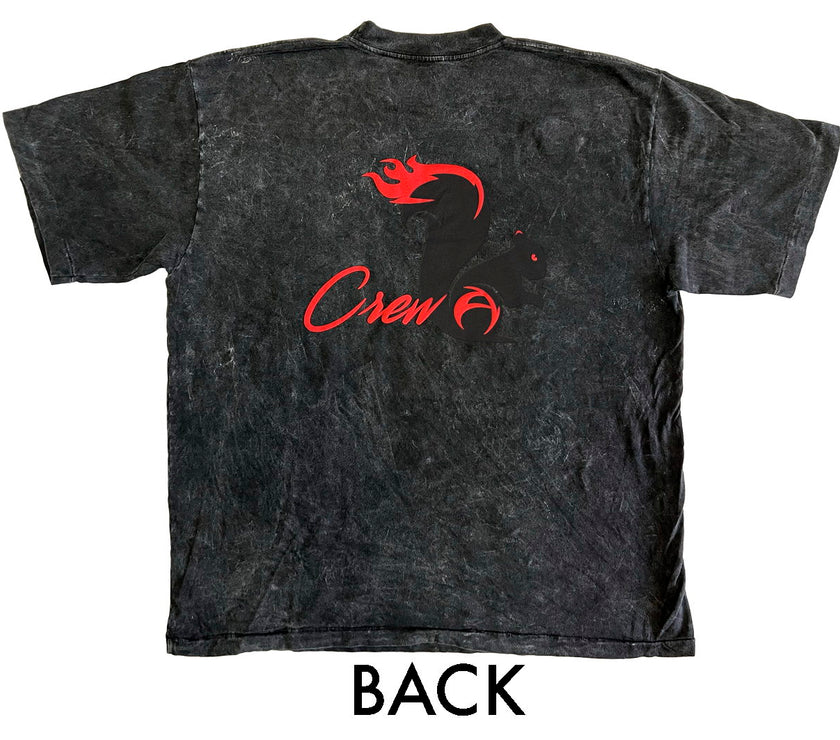 Jensen (CREW A) Ackles Mineral Wash T-Shirt