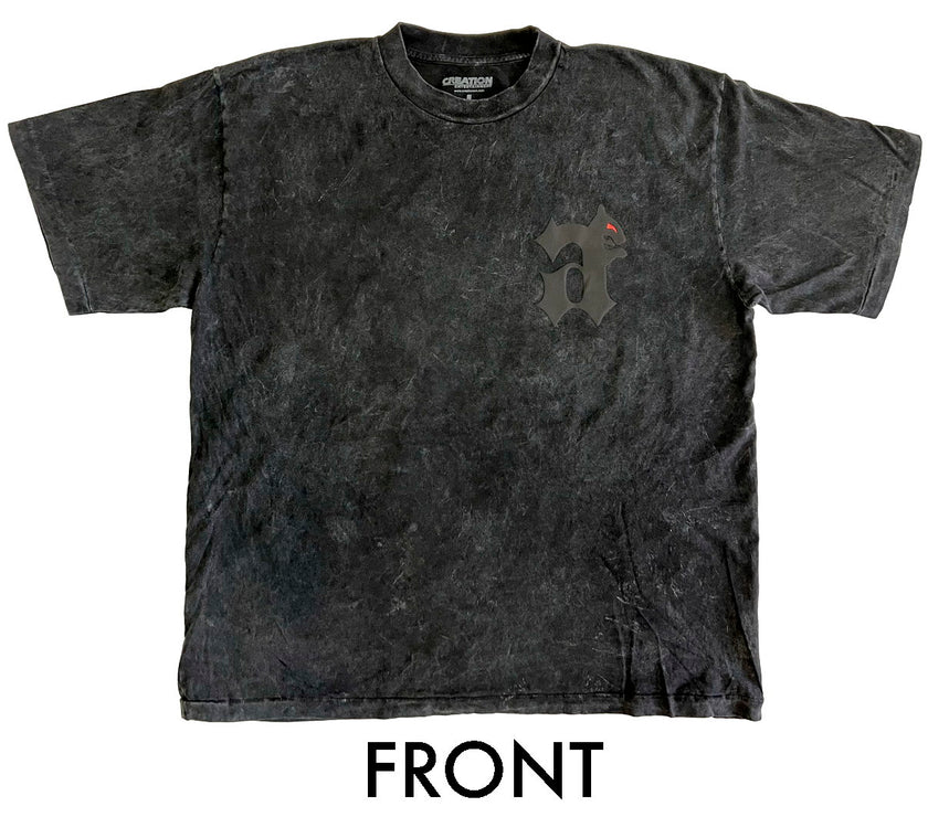 Jensen (CREW A) Ackles Mineral Wash T-Shirt